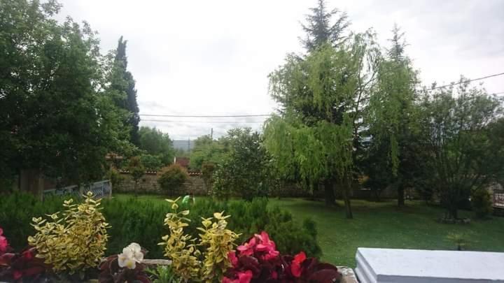 Villa Melograno Mostar Eksteriør billede